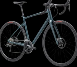 Allez Sport Disc
