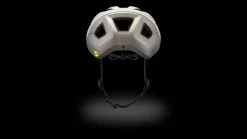 Casque Search