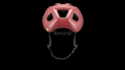 Casque Search