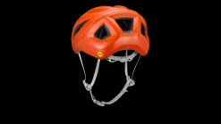 Casque Search