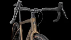 Diverge Expert Carbon