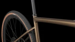 Diverge Expert Carbon