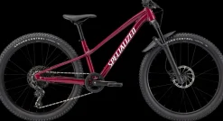 Riprock Expert 24