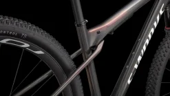 S-Works Epic World Cup