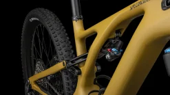 Turbo Levo Expert