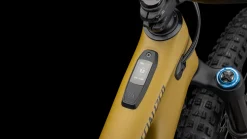 Turbo Levo Expert