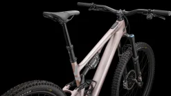 Turbo Levo SL Expert