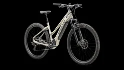 Turbo Tero 4.0 Step-Through